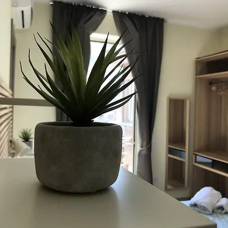 2naples 게스트하우스 4*