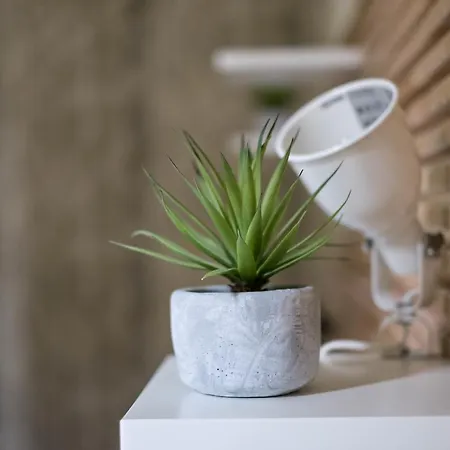 2naples Konukevi Napoli